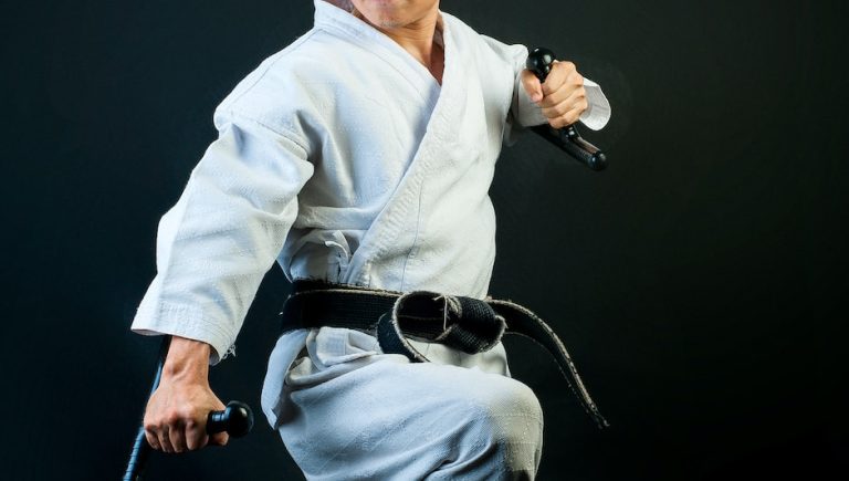 what is the difference between taekwondo karate and jiu jitsu